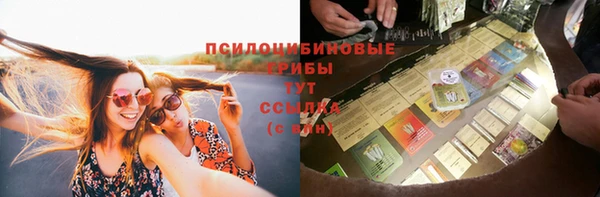 амф Гусиноозёрск