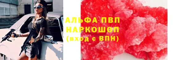 амф Гусиноозёрск