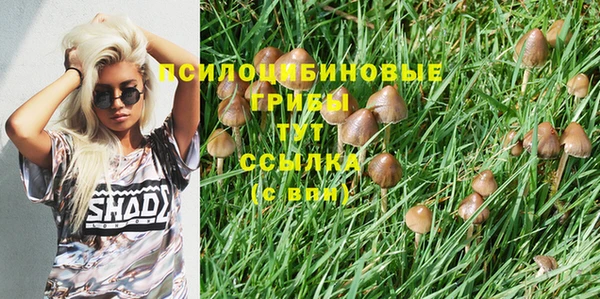 альфа пвп Гусев