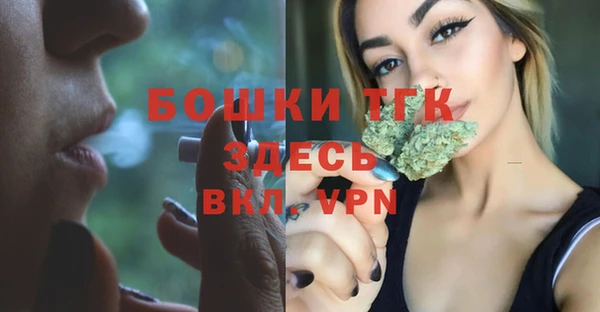 альфа пвп Гусев