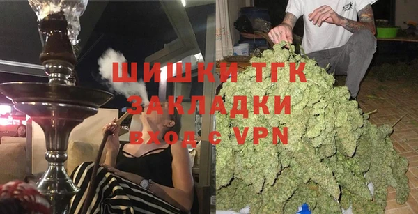 амф Гусиноозёрск