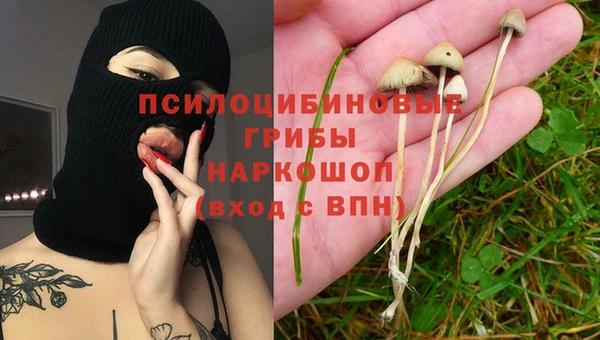 амф Гусиноозёрск