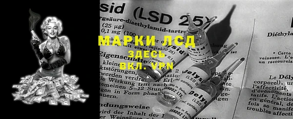 альфа пвп Гусев