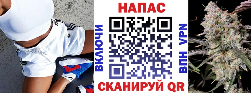 купить наркотики цена  Дорогобуж  Конопля VHQ 